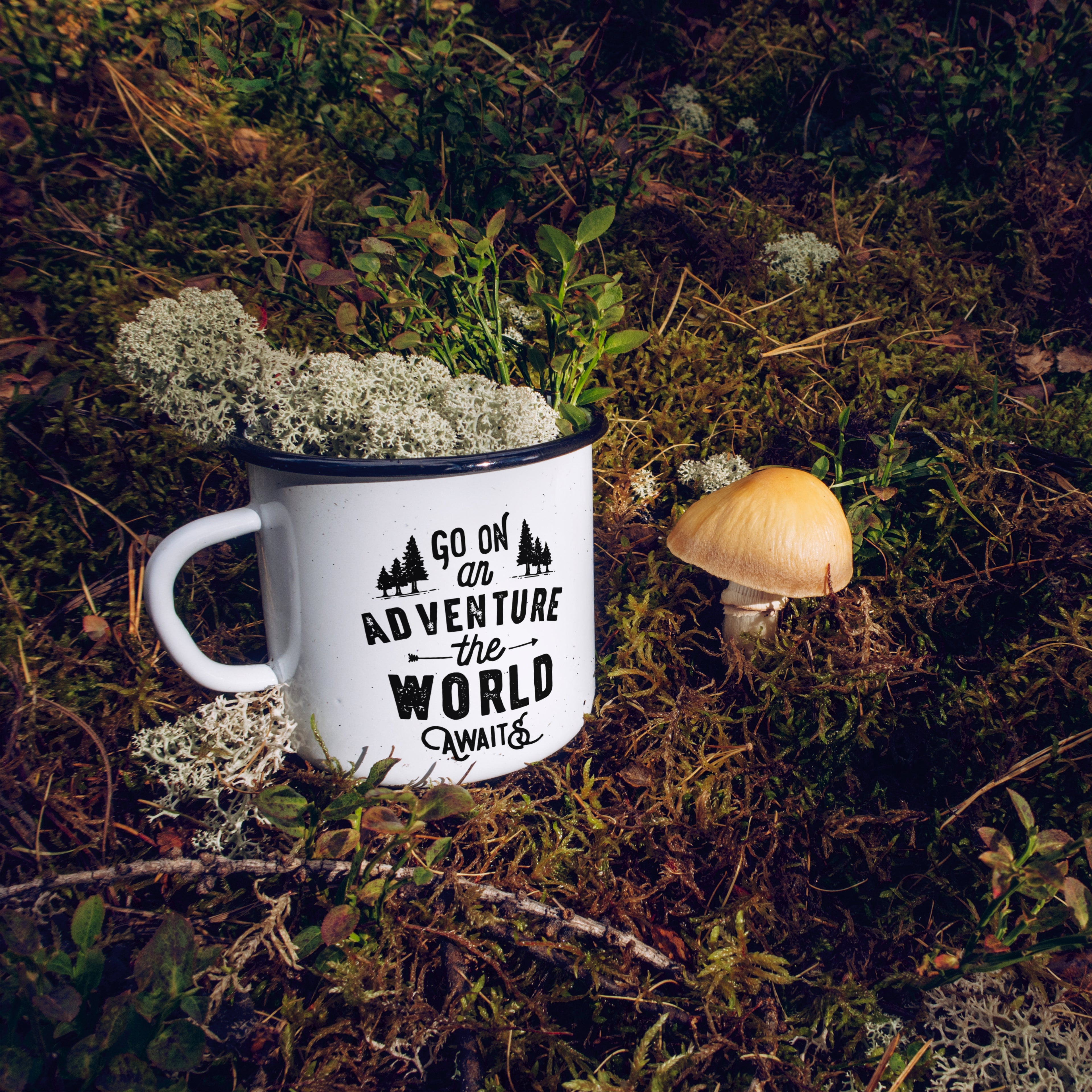 Beklenen Macera Kupası