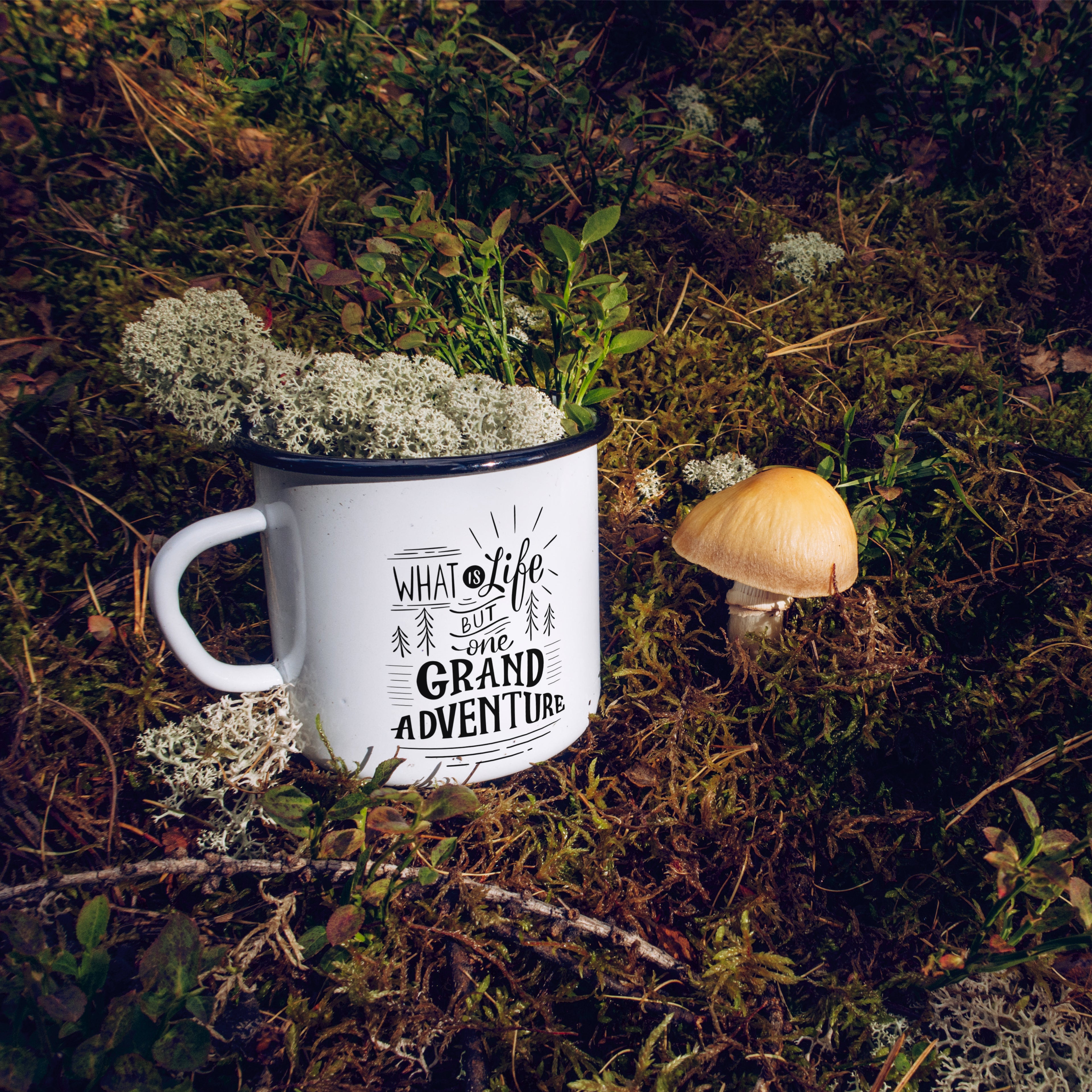 Büyük Macera Kupası